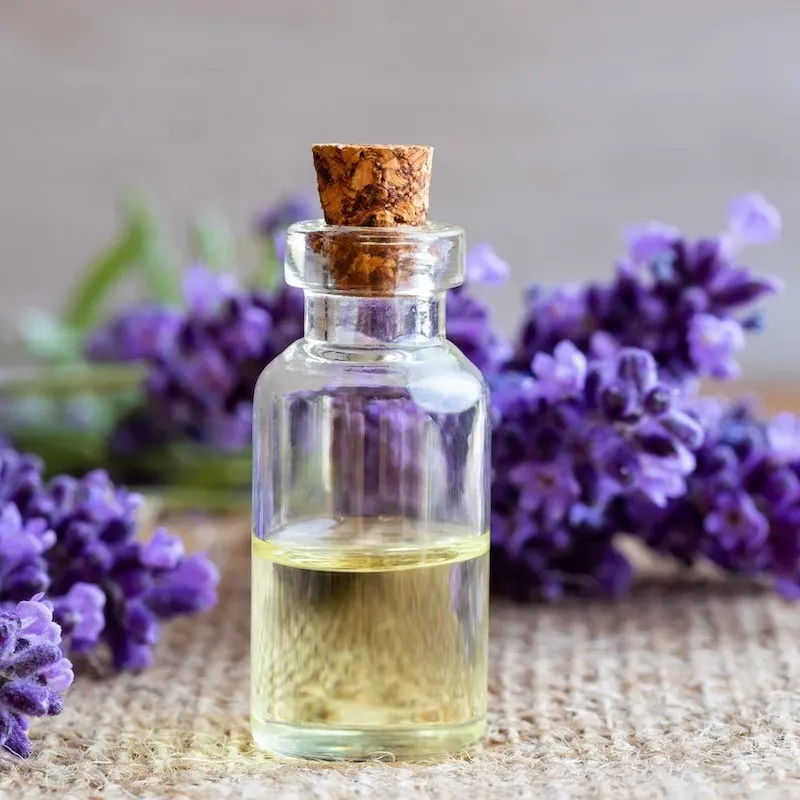 Oleo Essencial de Lavander